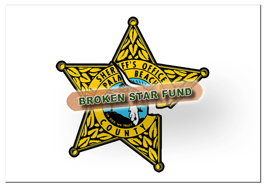 broken star logo